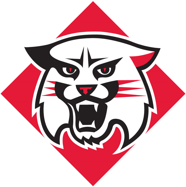 Davidson Wildcats 2010-Pres Primary Logo diy fabric transfer